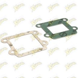 Malossi MHR intake gasket...