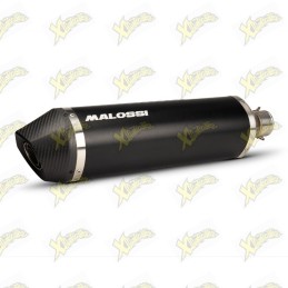 Malossi silencer for RX...