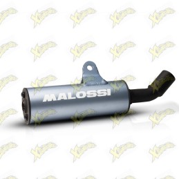 Malossi silencer diameter...