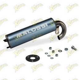 Malossi silencer diameter...