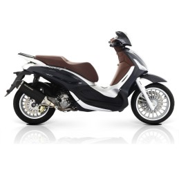 Malossi RX Black exhaust...