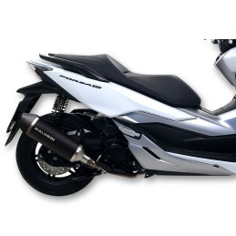 Malossi RX BLACK exhaust...