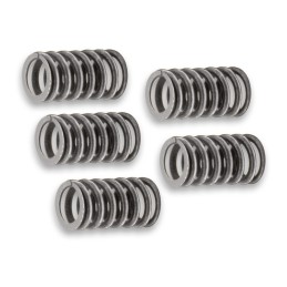 Malossi reinforced clutch...