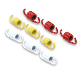 Malossi RACING spring set...