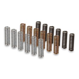 Malossi RACING spring set...