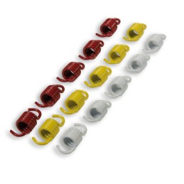 Malossi RACING spring set...