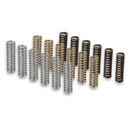 Malossi RACING spring set...