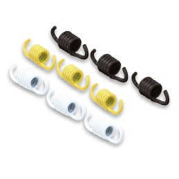 Malossi RACING spring set...
