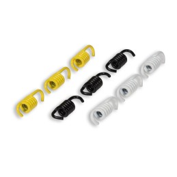 Malossi RACING spring set...