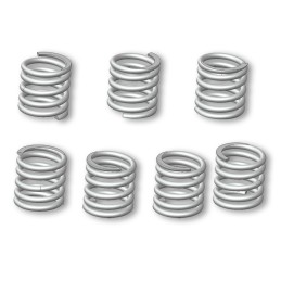 Malossi clutch springs for...