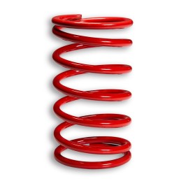 Malossi red variator...