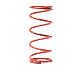 Malossi red variator...