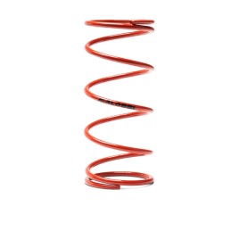 Malossi red variator...