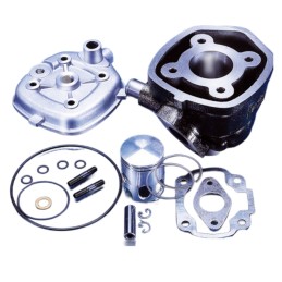 Polini cylinder kit...