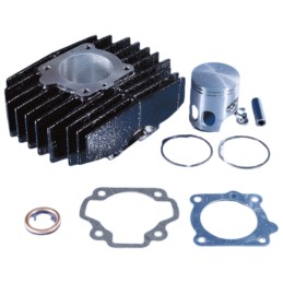 Polini cylinder kit...