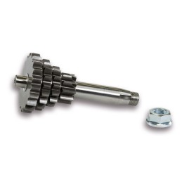 Multiple gear Sport Malossi...