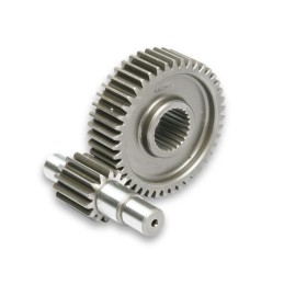 Malossi HTQ secondary gears...