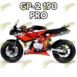Ohvale gp-2 190cc 4t PRO 2025