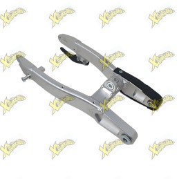 Ohvale Complete swingarm