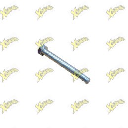 Screw TE Ohvale M6x50...