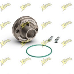 Malossi front end cap 2519785