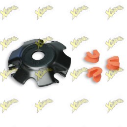 Malossi roller guide cap...