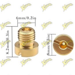 Maximum Dellorto 6mm jet...