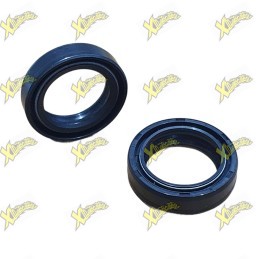 Kit paraolio Ohvale 33x46x11 per Gp-0 Gp-2 01.FA.0102.L
