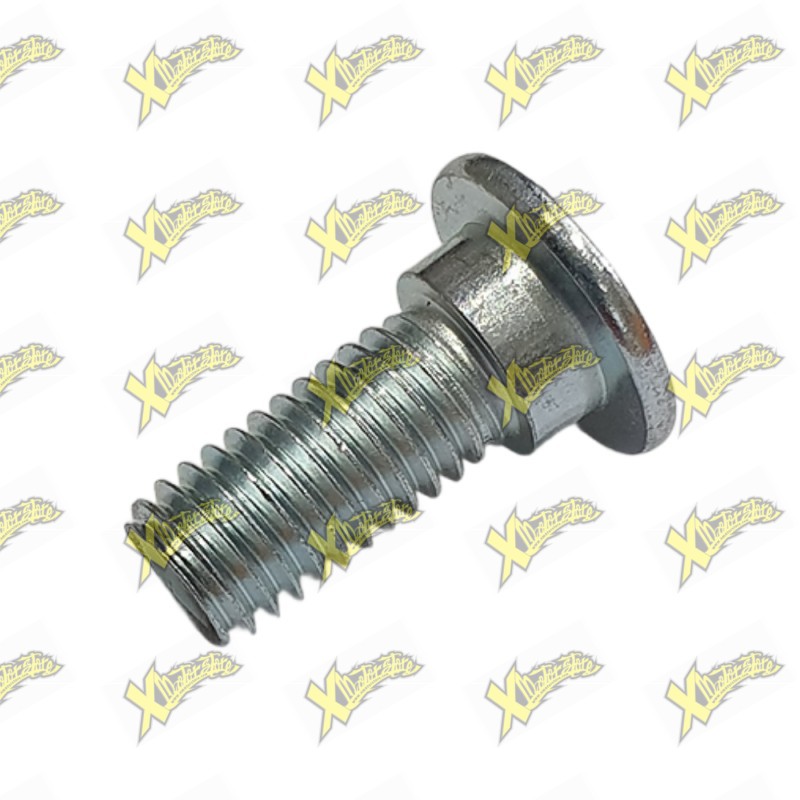 Vite Ohvale speciale fissaggio disco 01.RA.0016.L Vite Ohvale speciale fissaggio disco 01.RA.0016.L