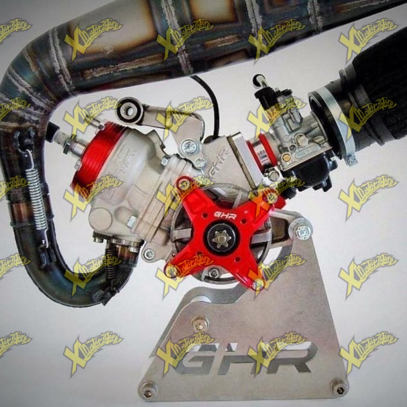 Complete Ghr minimoto engine gp1 h2o 50 factory racing Complete Ghr minimoto engine gp1 h2o 50 factory racing