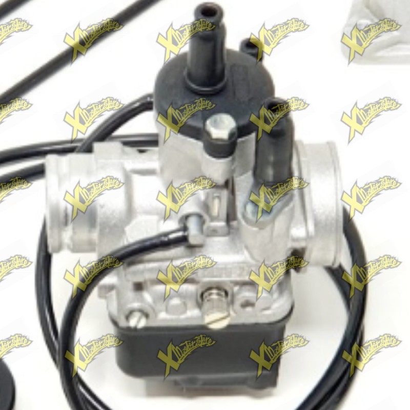 Carburatore Dell’Orto PHBL 24 per Ohvale GP-0 110 4S EVO 01.AS.0254.L