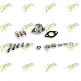Malossi Exhaust Flange and...