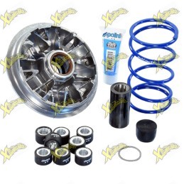 Variatore Polini per Hi speed Piaggio Beverly 350 241.699