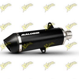 Malossi RX Black exhaust...