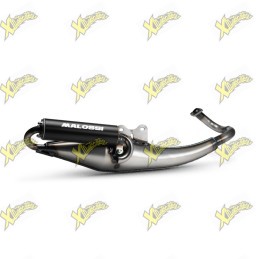 Malossi Flip exhaust...