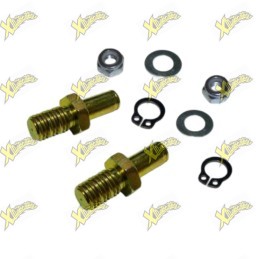 Perni piattello frizione Bzm con dado autoblocc M6 (2pz) 005001