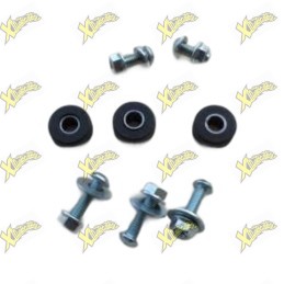 Antivibration grommets with spacers and screws for Stamas standard radiator