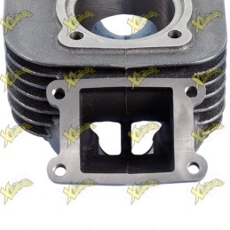 Gruppo Termico Polini 70 Evolution Minarelli Verticale Spinotto 10 mm 166.0074/E