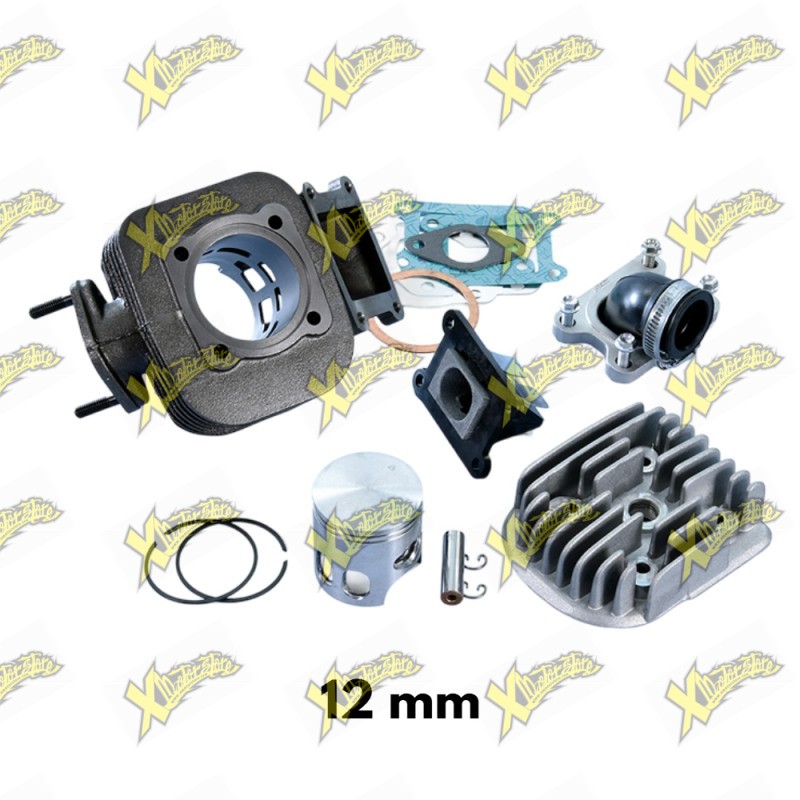 Gruppo termico Polini 70 evolution per Minarelli verticale spinotto 12 mm 166.0074/12E Gruppo termico Polini 70 evolution per Minarelli verticale spinotto 12 mm 166.0074/12E