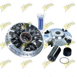 Polini Maxi Hi-speed variator 12 rollers for Zontes 350 D-E and Zontes 368 D-E-G 241.770