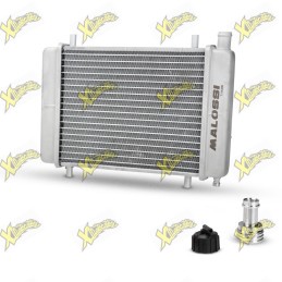 Malossi Mhr 7115500 radiator