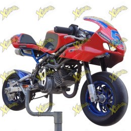 Used DM minimoto with 6.2 HP Polini engine