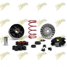 Malossi Multivar Variator...