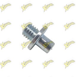 Threaded pin with brake caliper support for aluminum swingarm dm