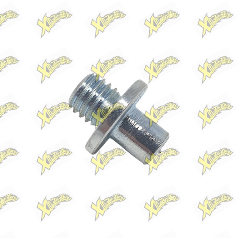 Perno filettato supporto pinza freno posteriore per forcellone alluminio Dm Perno filettato supporto pinza freno posteriore per forcellone alluminio Dm