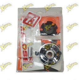 Variatore Malossi Multivar 2000 5111154 USATO