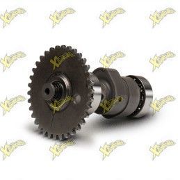 Malossi camshaft for Honda...