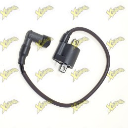 Ohvale Ignition coil mod. 110A 01.SB.1401.L