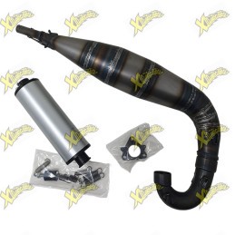 Complete exhaust factory team Ghr for engine 50cc