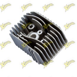 Testa Polini per Piaggio Ciao diametro 38,4-41-43mm 211.0226